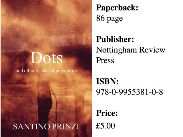 Dots and Other Flashes of Inspiration by Santino Prinzi