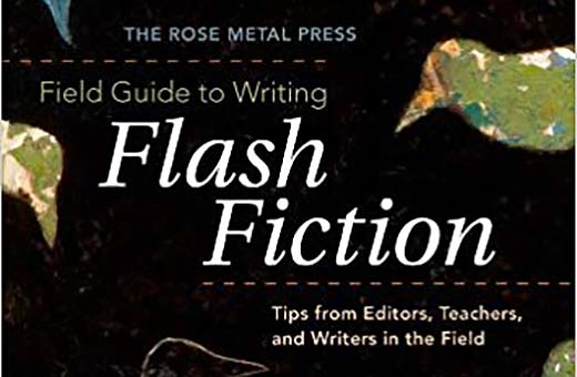Rose-Metal-Press-Flash-Fiction-Guide
