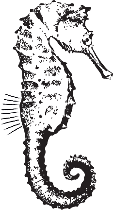 TSS Publishing - Seahorse logo